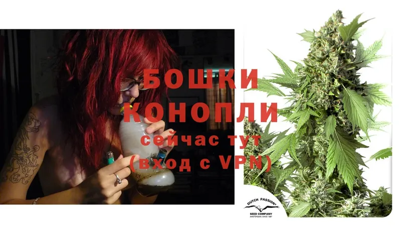 Канабис SATIVA & INDICA  ОМГ ОМГ сайт  Кисловодск 